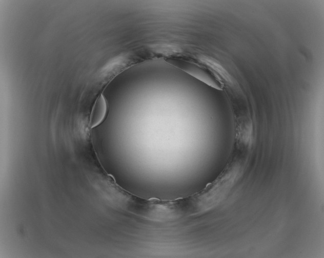 X0000114400285200910161322