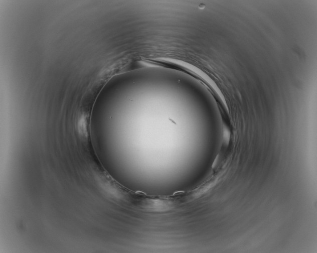 X0000114400286200910161322