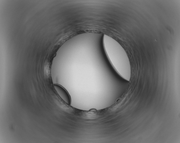 X0000114400287200910161322