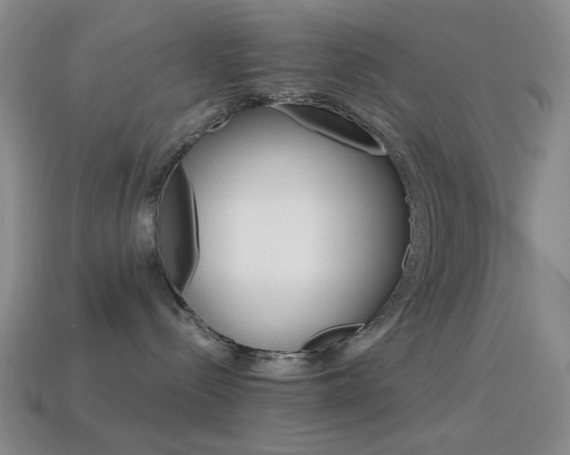 X0000114400288200910161322