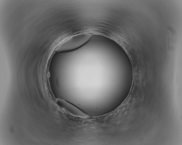 X0000114400289200910161321