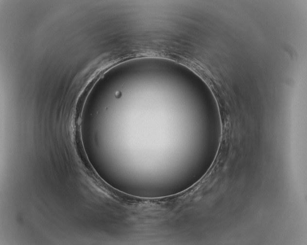 X0000114400290200910161321