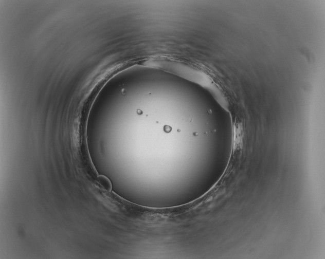 X0000114400291200910161321