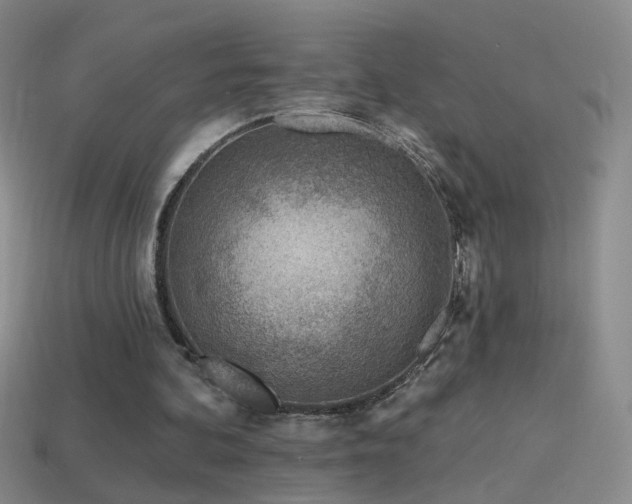 X0000114400292200910161321