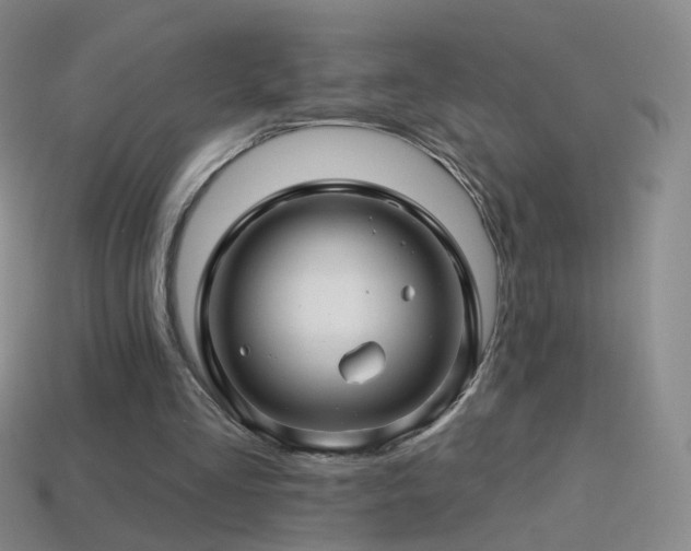 X0000114400293200910161321