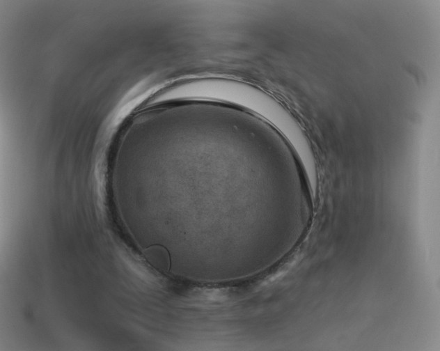 X0000114400295200910161321