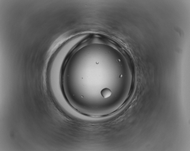 X0000114400296200910161321