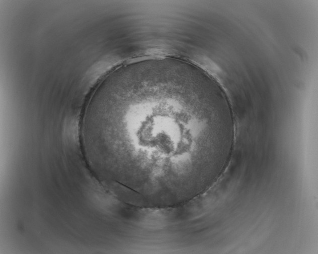 X0000114400297200910161321