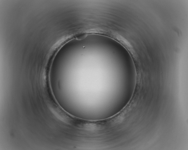 X0000114400298200910161321