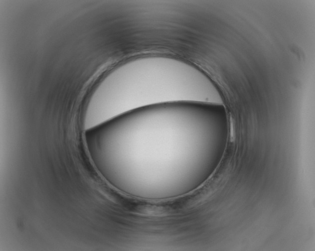 X0000114400300200910161321