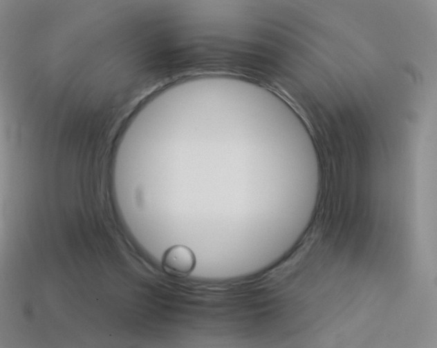 X0000114400301200910161321