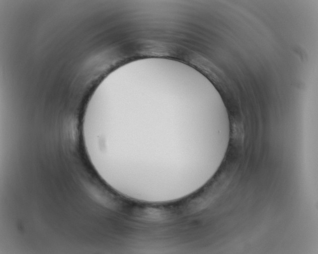 X0000114400302200910161321