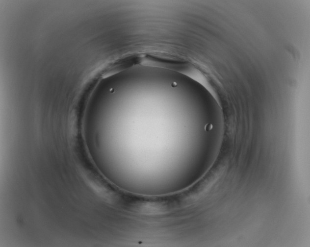 X0000114400303200910161321