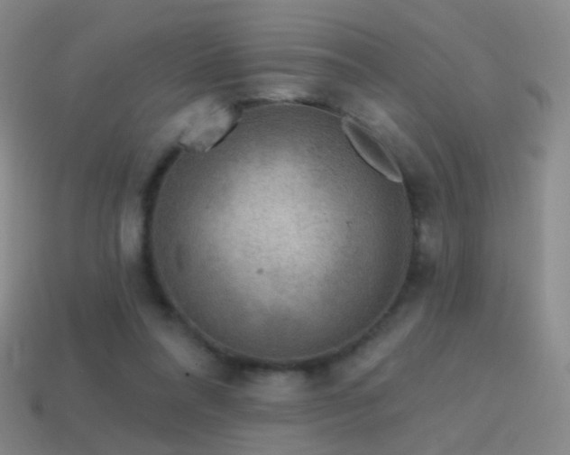 X0000114400304200910161321