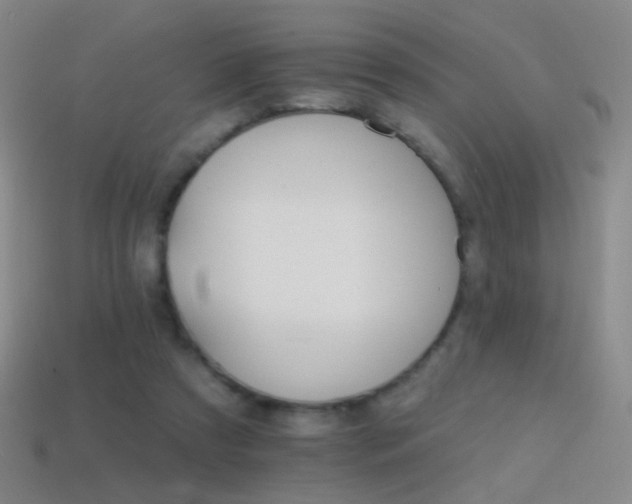 X0000114400305200910161321