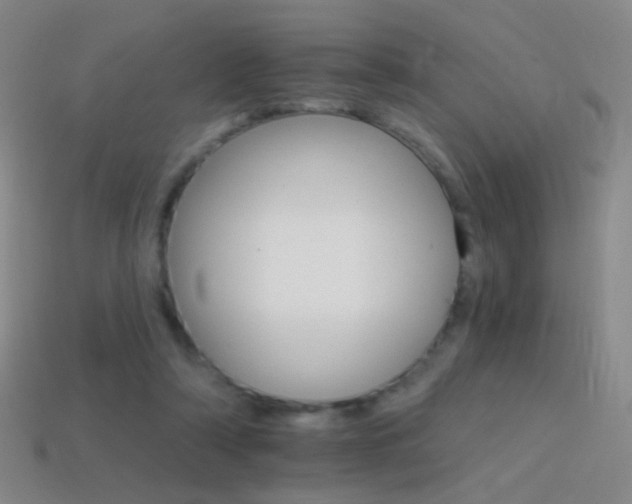 X0000114400306200910161321