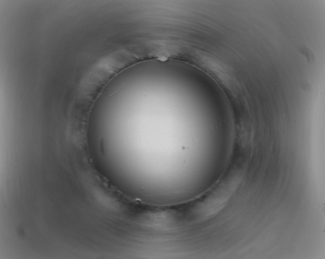 X0000114400307200910161321