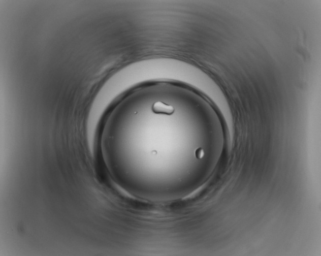 X0000114400308200910161321