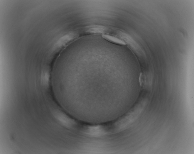 X0000114400309200910161321