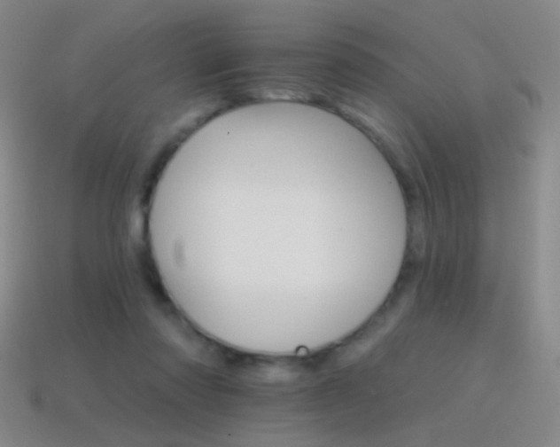 X0000114400310200910161321