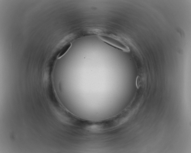 X0000114400312200910161321