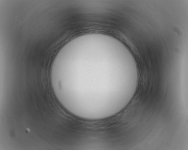 X0000114400313200910161321