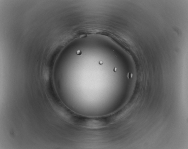 X0000114400315200910161321