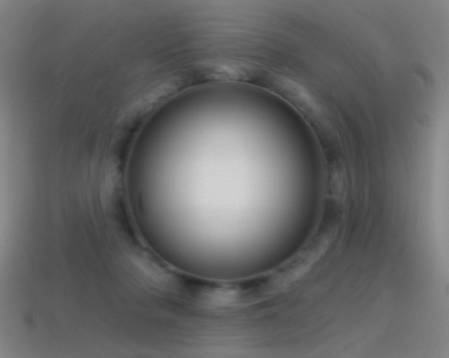 X0000114400318200910161321