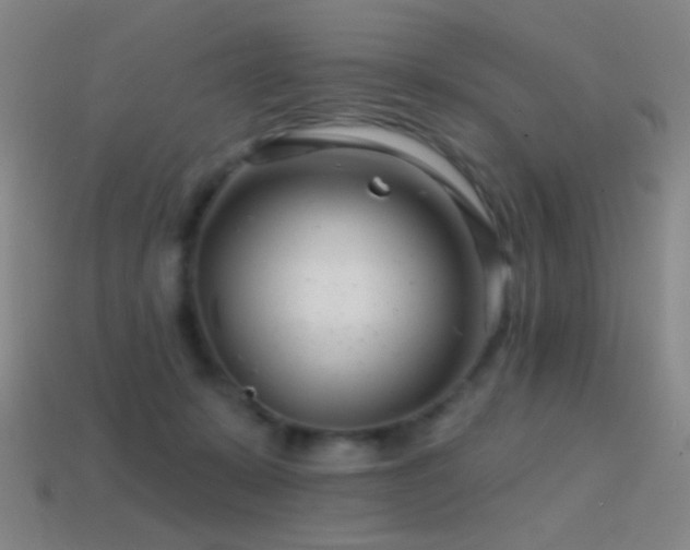 X0000114400319200910161321