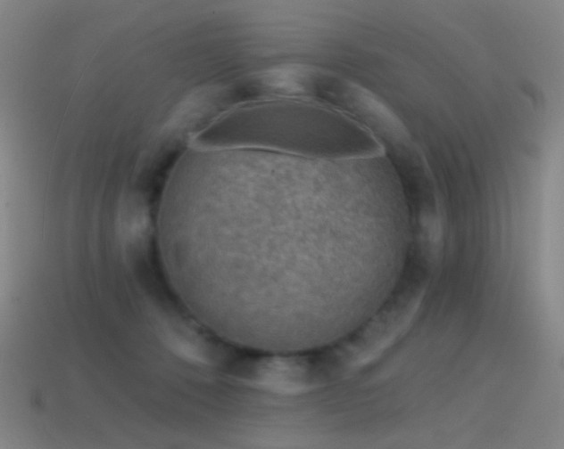 X0000114400320200910161321