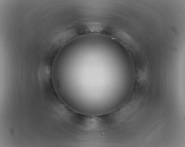 X0000114400321200910161321