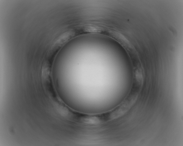 X0000114400322200910161321