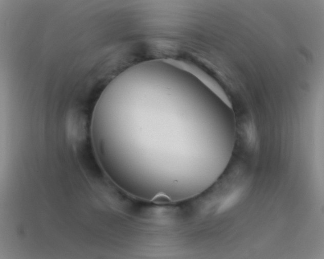 X0000114400323200910161321