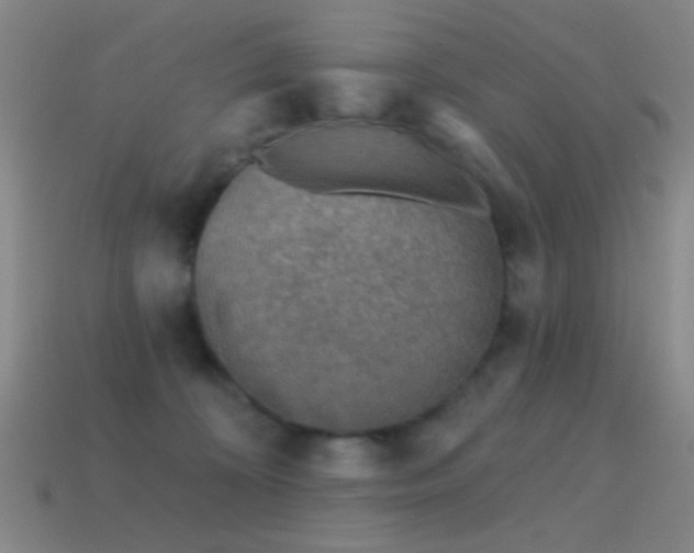 X0000114400324200910161321