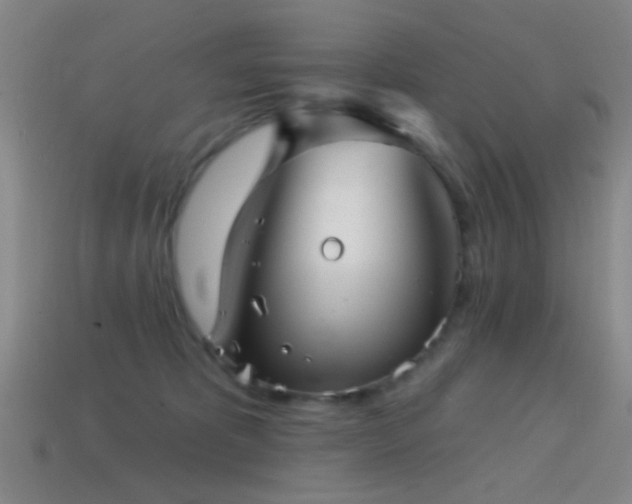 X0000114400325200910161321