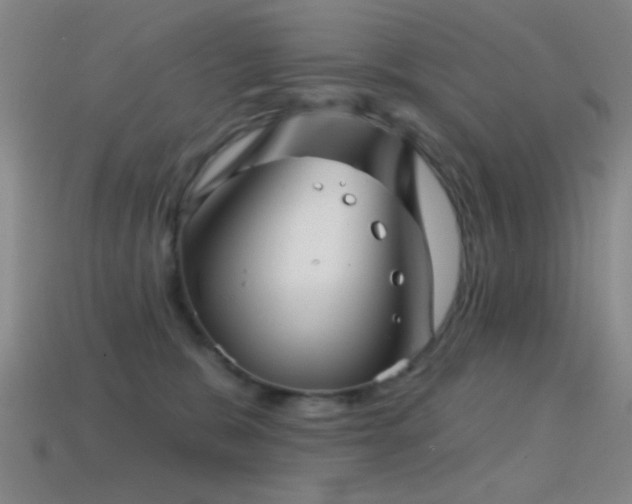 X0000114400327200910161321