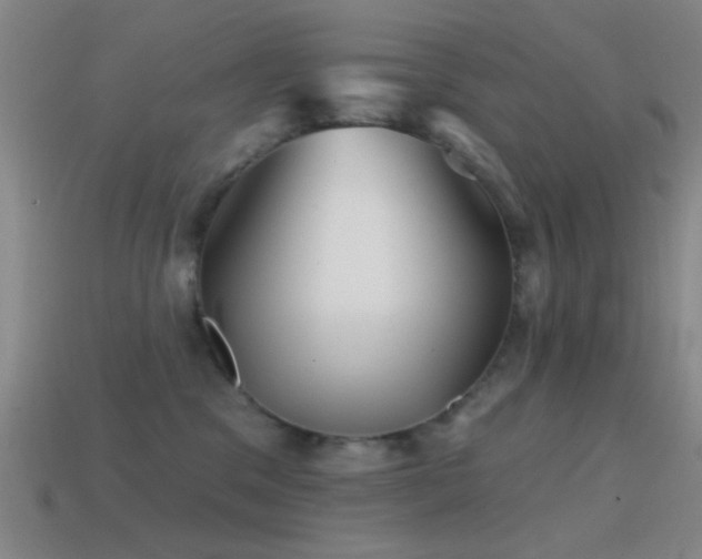 X0000114400329200910161321