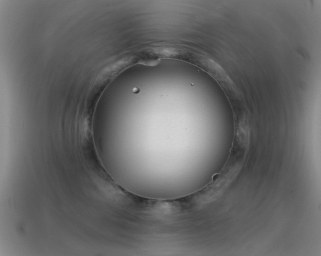 X0000114400330200910161321