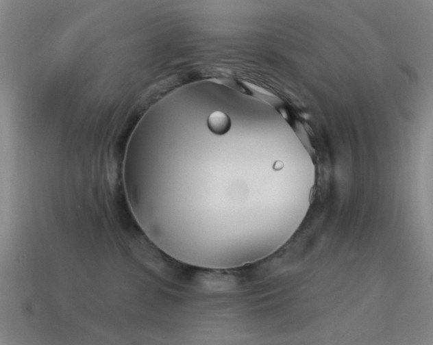 X0000114400331200910161321