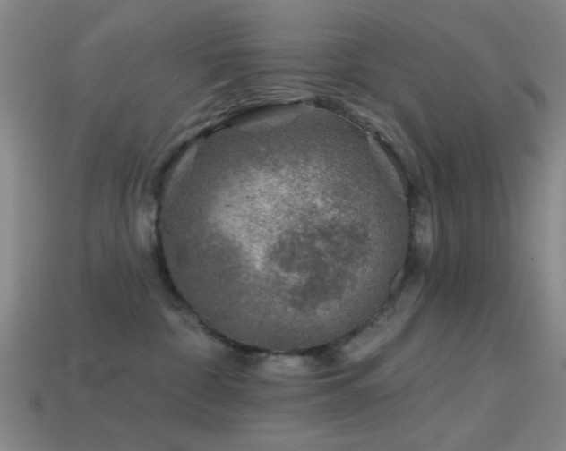 X0000114400332200910161321