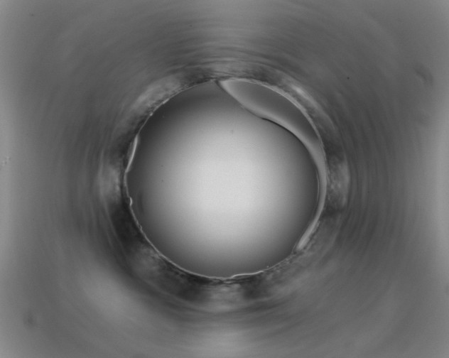 X0000114400333200910161321