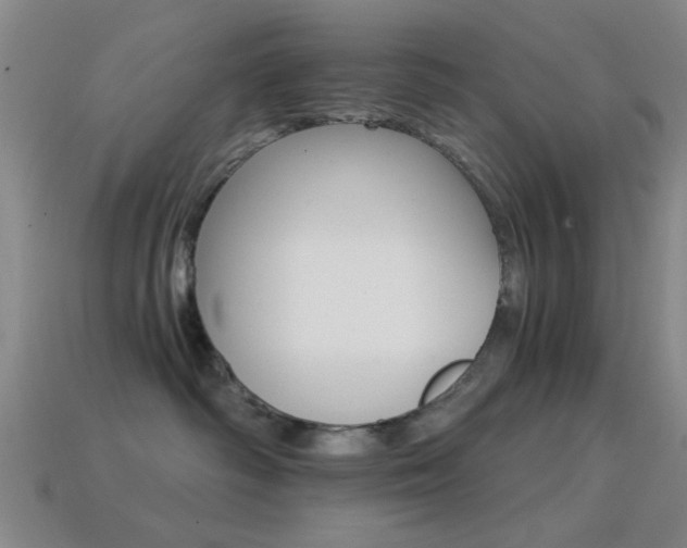 X0000114400334200910161321