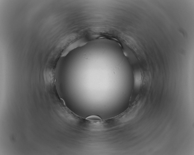 X0000114400335200910161321