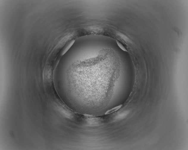 X0000114400336200910161321