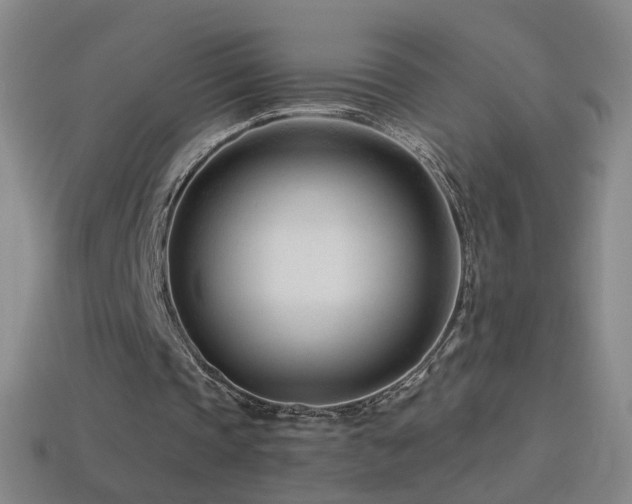 X0000114400337200910161320