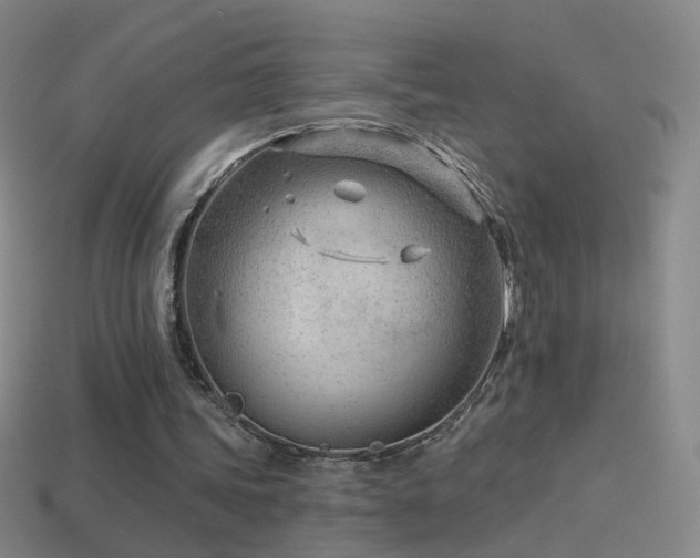 X0000114400339200910161320