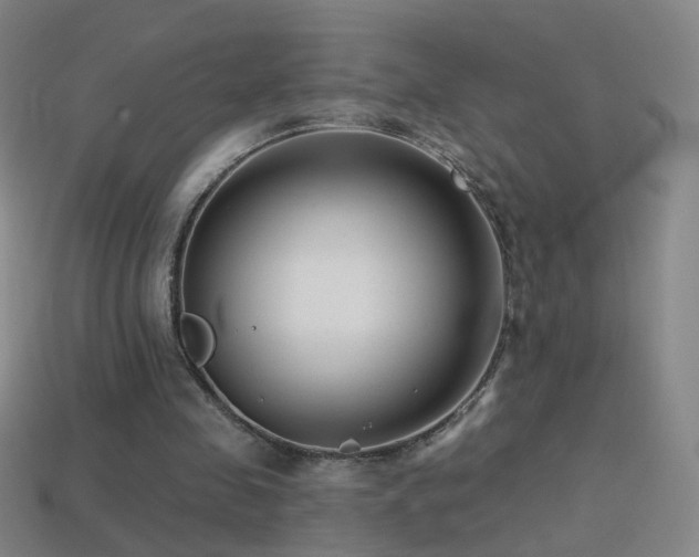 X0000114400341200910161320