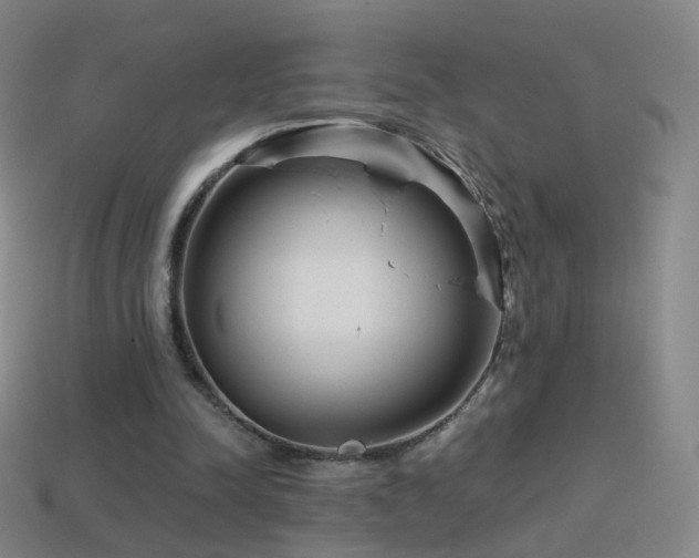 X0000114400342200910161320