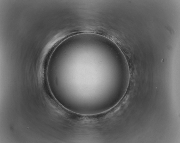 X0000114400343200910161320