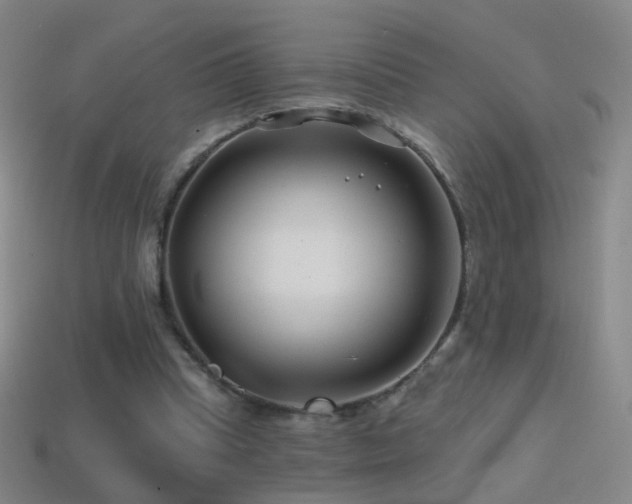 X0000114400345200910161320